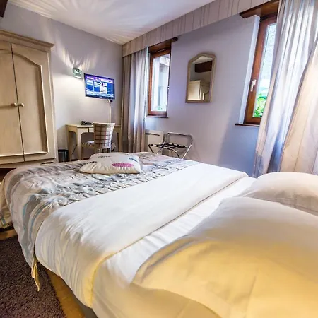 Hotel Au Lion 2*