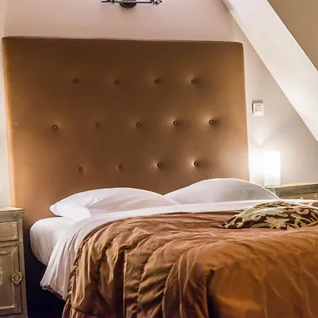 Hotel Au Lion
