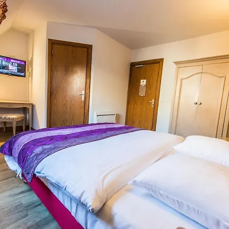 Au Lion 2* Ribeauvillé