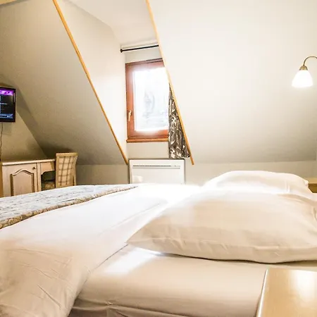 Hotel Au Lion Ribeauvillé