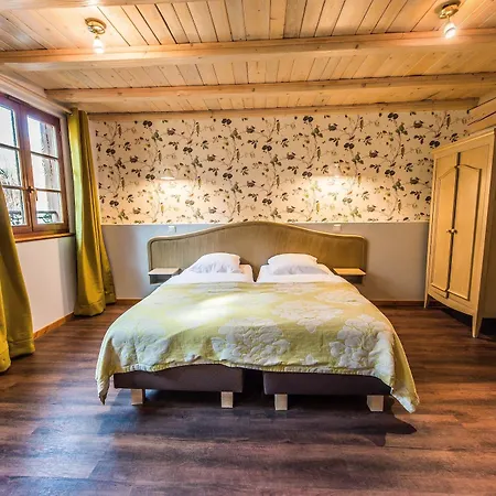 Hotel Au Lion Ribeauvillé