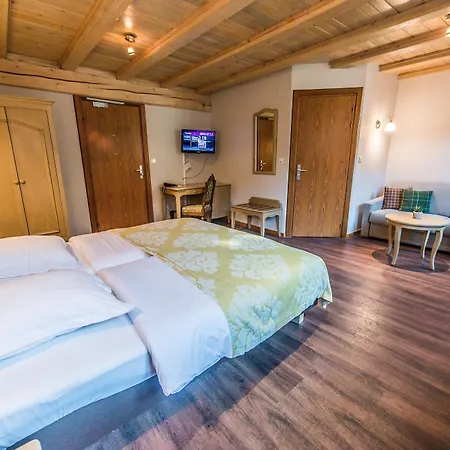Hotel Au Lion 2*