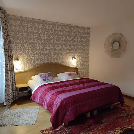 Hotel Au Lion Ribeauvillé