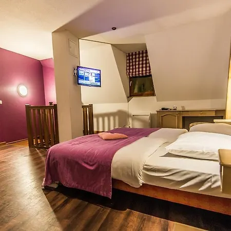Hotel Au Lion 2*