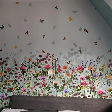 Hotel Au Lion Ribeauvillé