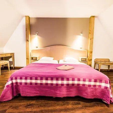 Au Lion Ribeauvillé