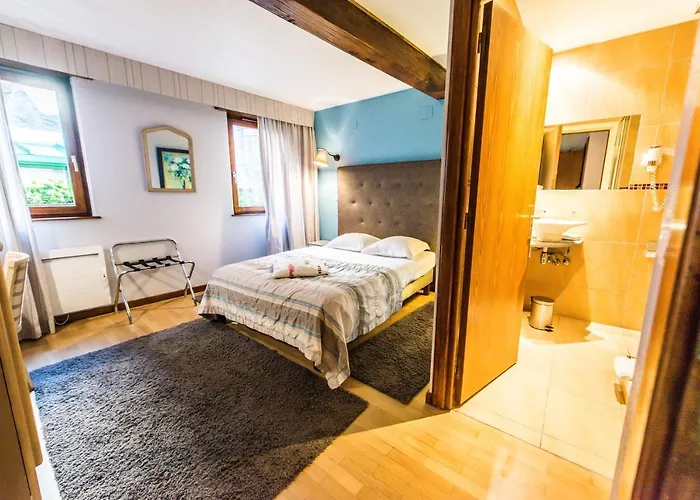 Hotel Au Lion Ribeauville (Haut-Rhin)