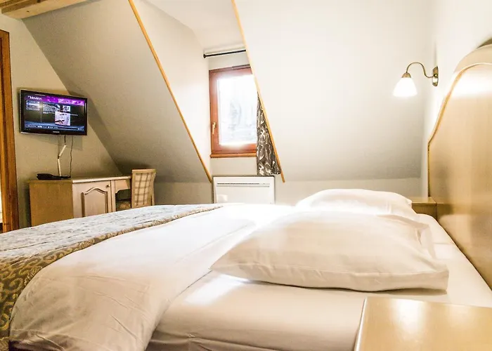 Hotel Au Lion Ribeauville (Haut-Rhin)