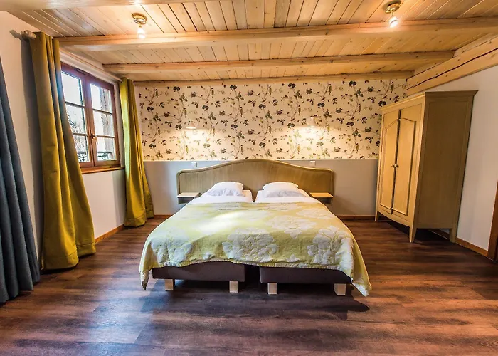 Hotel Au Lion Ribeauville (Haut-Rhin)