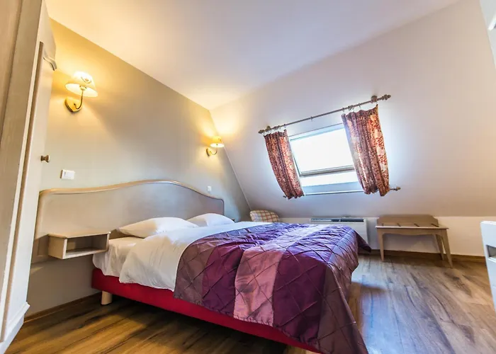 Hotel Au Lion Ribeauville (Haut-Rhin)