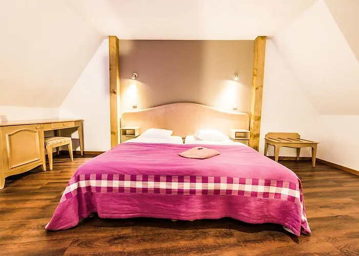 Au Lion Ribeauville (Haut-Rhin)